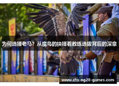 为何选择老马？从魔鸟的抉择看教练选拔背后的深意