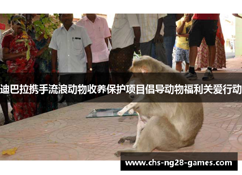 迪巴拉携手流浪动物收养保护项目倡导动物福利关爱行动